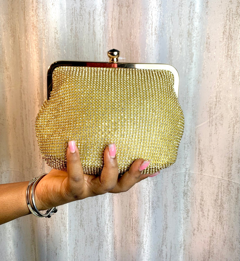 Shimmery Clutch Purse