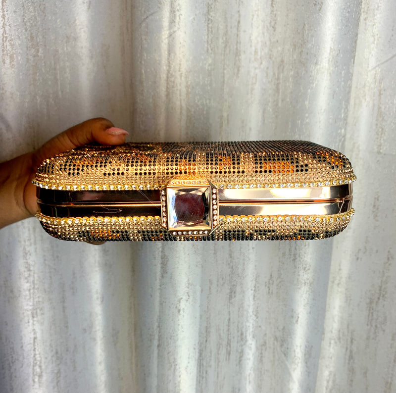 Leopard Print Clutch Purse