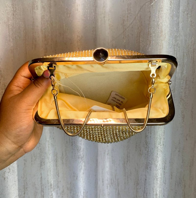 Shimmery Clutch Purse
