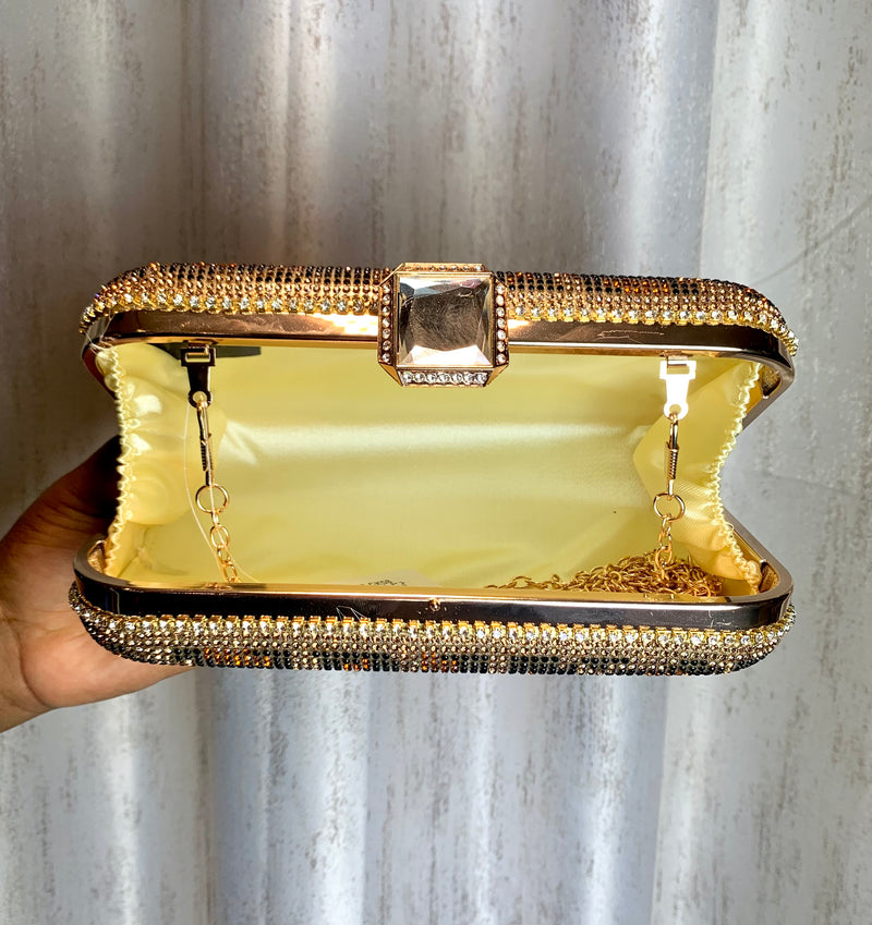 Leopard Print Clutch Purse