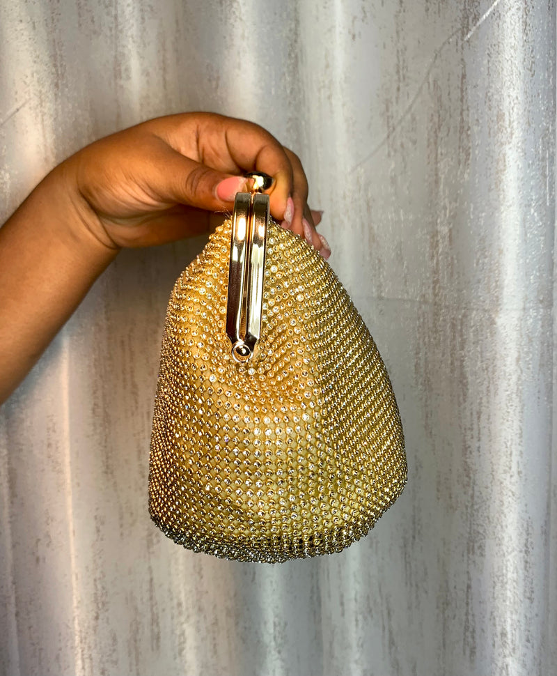 Shimmery Clutch Purse