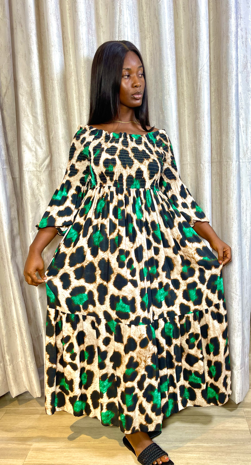 Francesca Green Printed Maxi Dress